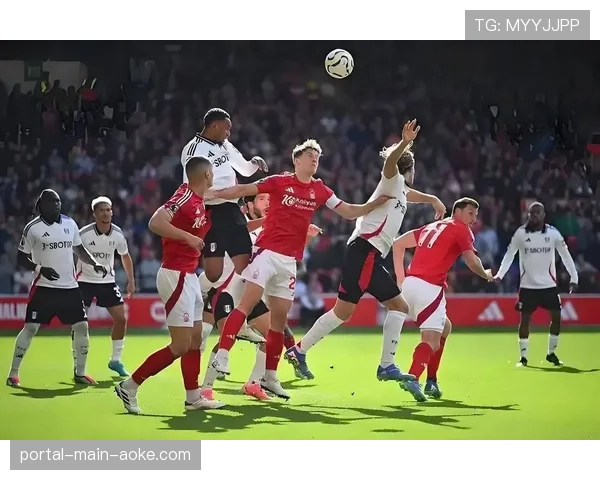 官方比赛报告：斯特拉斯堡vs南特一役共出示7张黄牌